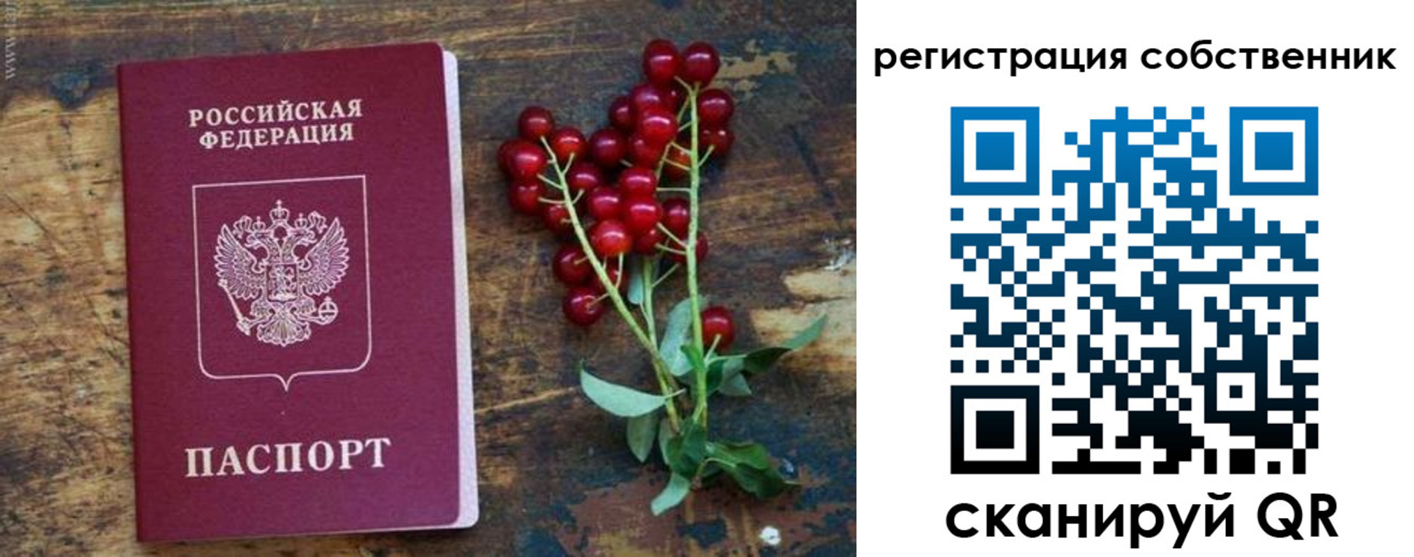 регистрация для дет. сада в Соликамске